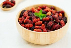 Ada 6 Dampak Buruk Konsumsi Buah Berry Secara Berlebihan, Apa Saja?