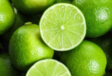 Cek di Sini! 7 Manfaat Jeruk Nipis untuk Kecantikan, Bantu Jaga Kulit Tetap Sehat