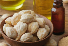 Yuk, Atasi Masalah Rambut Rontok dengan Gunakan Minyak Kemiri, Cek Manfaatnya!