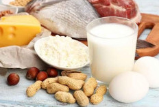 Cukupi Kebutuhan Protein Harian dengan Konsumsi Jenis Makanan Ini, Apa Saja?