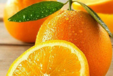 Bantu Penuhi Nutrisi, Ini Buah yang Baik Dikonsumsi Saat Menstruasi