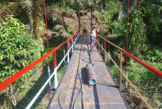 Hubungkan Desa di Semidang Alas Maras Seluma, 3 Jembatan Garuda Selesai Dibangun