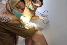 Tengah Sadap Karet di Ladang, Warga Lubuk Sini Diserang Beruang Liar