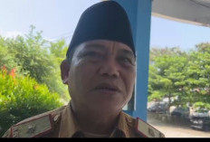Inflasi di Kota Bengkulu Terkendali, Harga Ayam Potong Naik Tembus Rp45 Ribu per Kilogram