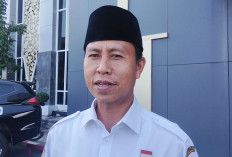 2 OPD Bengkulu Hampir Setahun Dipimpin Plt, BKD: Selagi Sesuai Aturan Kita Perpanjang