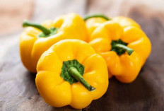 Konsumsi Paprika Kuning Berlebihan Picu 4 Efek Samping Berbahaya, Cek!