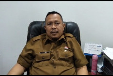 Dorong Pertumbuhan Ekonomi, Pemkot Bengkulu Permudah Izin Investor Lewat OSS dan SIKOLU