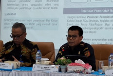 Penerimaan Bea Cukai Bengkulu Capai Rp1,8 Miliar, Ekspor Sentuh Rp418,7 Miliar