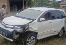 Jalinbar Seluma Membara: Sepekan 5 Kecelakaan, Terbaru Brio dan Avanza Adu Kambing di Tumbuan