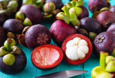 Stop Berlebihan! Inilah Efek Samping Konsumsi Buah Manggis, Picu Gangguan Pencernaan 