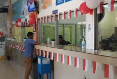 155 Ribu Kendaraan di Bengkulu Utara Menunggak Pajak, Baru 6.486 Unit Ikuti Pemutihan