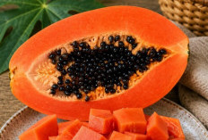 Baik untuk Pencernaan, Ini Manfaat Buah Pepaya bagi Kesehatan, Konsumsi Secukupnya 