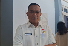 Buka Pertengahan Juli, Pemprov Bengkulu Ajak 200 Perusahaan Gabung Program Magang Nasional