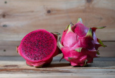 Pecinta Buah Naga Wajib Tahu! Ini Sederet Manfaat Bagi Kesehatan Tubuh