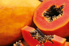 Kaya Vitamin, Ini Manfaat Konsumsi Pepaya untuk Kesehatan, Baik Dikonsumsi Setiap Hari