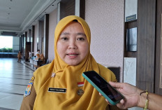Hampir 50 Persen Izin Tambang di Bengkulu Segera Habis, Dinas ESDM Ingatkan Jangan Telat Urus