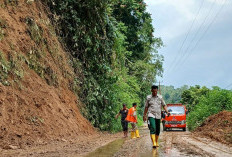 BPBD Bengkulu Selatan Gerak Cepat Evakuasi Material Longsor yang Menutup Jalan di Ulu Manna