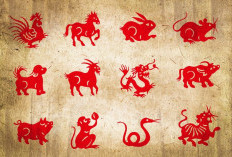 Strategi Cuan Shio Hari Ini: Waktunya Shio Naga Ekspansi, Shio Kerbau Harap Tahan Diri!