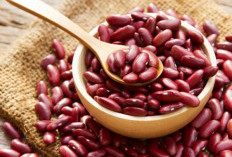 Cek di Sini! Makanan yang Punya Kandungan Tinggi Serat, Salah Satunya Kacang-kacangan 