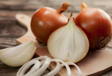 Kaya Nutrisi, Inilah Tawaran Manfaat Bawang Bombai untuk Kesehatan 