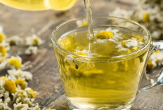 Cocok Diminum Sehari-hari, Rekomendasi Teh Herbal yang Baik untuk Kesehatan