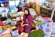 Harga Cabai Setan di Pasar Ampera Manna Turun, Kini Dijual Rp50 Ribu per Kilogram