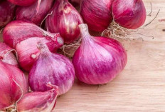 Klaim Segudang Manfaat Tak Terduga Bawang Merah Mentah untuk Kesehatan Tubuh!