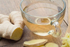 Selain Makanan, Ini 7 Minuman yang Baik untuk Asam Lambung, Bantu Perut Lebih Nyaman