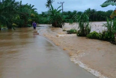 Arus Deras Sungai Air Seluma Hanyutkan Jembatan, Desa Lubuk Resam Terisolasi