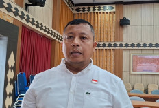 Tidak Hanya Banjir, Cuaca Ekstrem Juga Sebabkan 6 Titik Longsor di Bengkulu