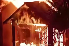 Tewaskan Pasutri Muda, Korsleting Listrik Diduga Jadi Pemicu Kebakaran Rumah di Bengkulu Utara