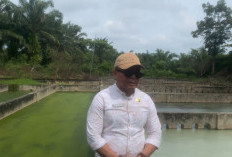Kapasitas Kritis, DLHK Bengkulu Selatan Lobi Kementerian untuk Perluasan Zona TPA