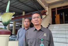 Penyebab Kematian 3 Satwa Dilindungi di Mukomuko Masih Diselidiki, BKSDA Tunggu Hasil Laboratorium
