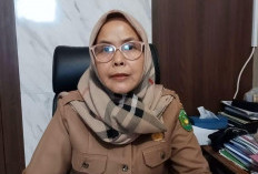 Cegah Pohon Tumbang di Musim Hujan, DLH Kota Bengkulu Siapkan Pemangkasan di Sejumlah Titik Rawan