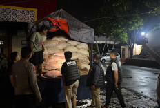 Mafia Pupuk Subsidi di Bengkulu Terungkap: 90 Ton Diselewengkan, Pelaku Untung 50 Persen