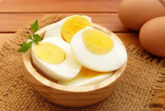 Sumber Protein Tanpa Lemak, Inilah Manfaat Konsumsi Telur Rebus untuk Kesehatan 