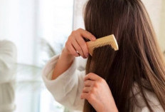 Tidak Mudah Rusak, 7 Cara Menjaga Kesehatan Rambut agar Tetap Kuat, Kamu Perlu Tahu