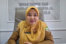 Optimalkan PAD Sektor Tambang, Pemprov Bengkulu Bentuk Tim Percepatan MBLB