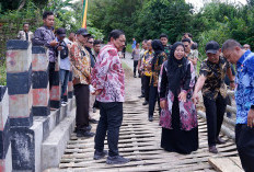 Wagub Tinjau Jembatan Amblas di Air Merah, Gubernur Helmi Hasan Instruksikan PUPR Gerak Cepat