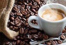 Bisa Dikonsumsi Sehari-hari, Rekomendasi Minuman Kopi Terbaik, Nikmat dan Cocok Temani Aktivitas