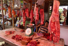 Pasca Iduladha, Harga Daging Sapi di Bengkulu Selatan Diprediksi Turun Menjadi Rp130 Ribu