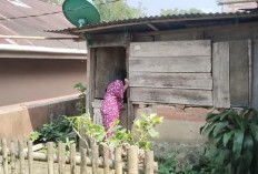 Janda Dibalik Rumah 'Papan' Reyot, Realita Pahit Ketimpangan Sosial