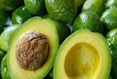 Bisa Dikonsumsi Sehari-hari, Ini Buah yang Bisa Bikin Kenyang Lebih Lama