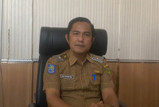 Cegah Pungli dan Penipuan, DPMPTSP Bengkulu Selatan Fasilitasi Pendampingan OSS Gratis bagi Pelaku Usaha