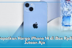 Turunnya Ugal-ugalan, Dapatkan Harga iPhone 14 di iBox Rp8 Jutaan Aja