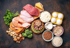 Daging Merah hingga Tempe Dijadikan Sebagai Sumber Protein Harian, Cek Disini!