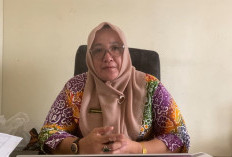 Abu Vulkanik Anak Krakatau Tak Pengaruhi Tanaman, Petani Bengkulu Selatan Bersiap Tanam Padi