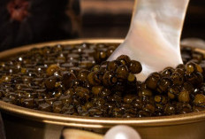 Ini Makanan Termahal di Dunia, Ada Kaviar dan Truffle yang Harganya Fantastis