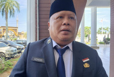 Dongkrak Konektivitas Udara, Pemprov Bengkulu Lobi Maskapai Baru untuk Isi Rute Jakarta hingga Palembang