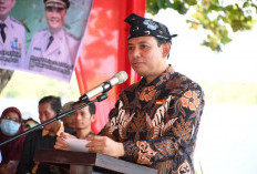 Ikuti Aturan Pusat, Pemkot Bengkulu Stop Terima Tenaga Honorer Baru